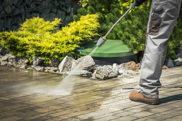 Best Pool Deck Cleaning  in Waianae, HI