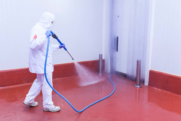 Best Sidewalk and Walkway Cleaning  in Waianae, HI